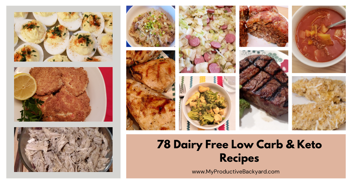 78 Dairy Free Low Carb Keto Recipes