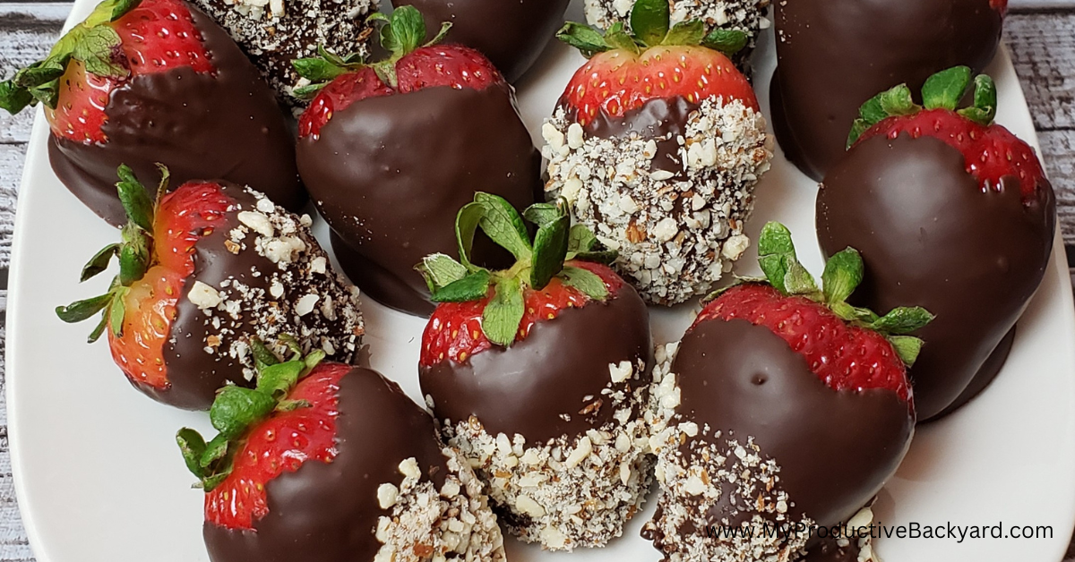 Keto Chocolate Coated Strawberries – My Productive Yard